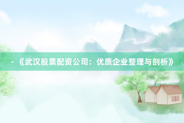 - 《武汉股票配资公司：优质企业整理与剖析》