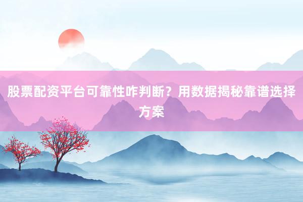 股票配资平台可靠性咋判断？用数据揭秘靠谱选择方案
