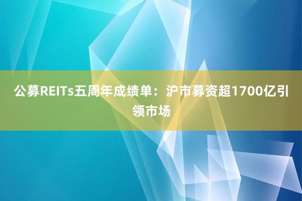 公募REITs五周年成绩单：沪市募资超1700亿引领市场