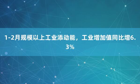 1-2月规模以上工业添动能，工业增加值同比增6.3%
