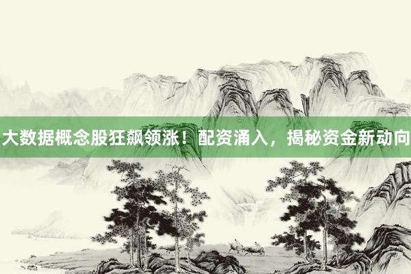 大数据概念股狂飙领涨！配资涌入，揭秘资金新动向