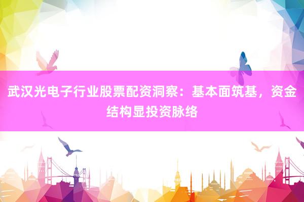 武汉光电子行业股票配资洞察：基本面筑基，资金结构显投资脉络
