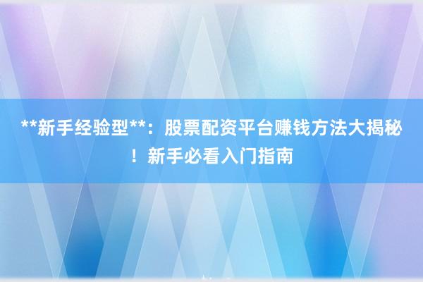 **新手经验型**：股票配资平台赚钱方法大揭秘！新手必看入门指南