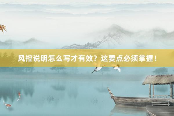 风控说明怎么写才有效？这要点必须掌握！
